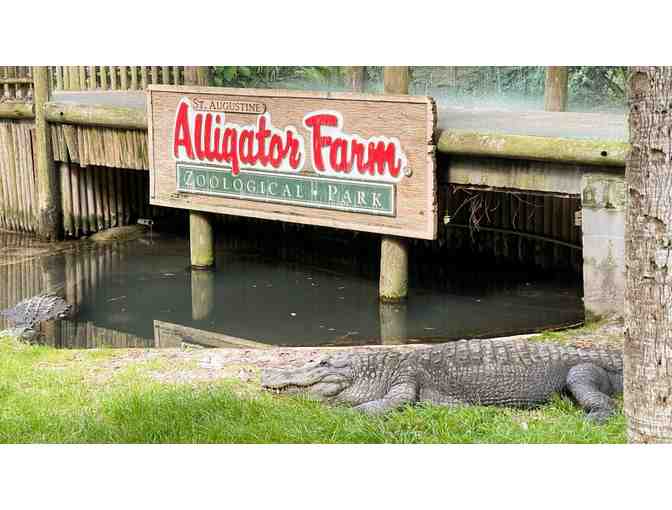 One Day Adventure at Alligator Farm for Four - Photo 1