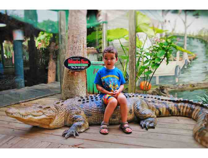One Day Adventure at Alligator Farm for Four