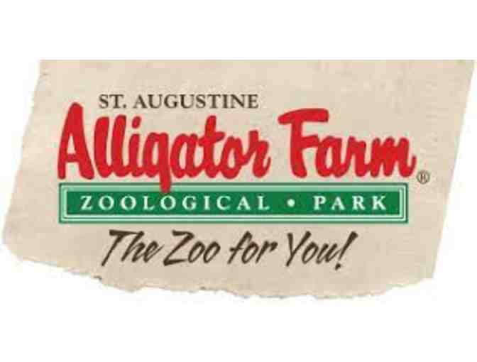 One Day Adventure at Alligator Farm for Four