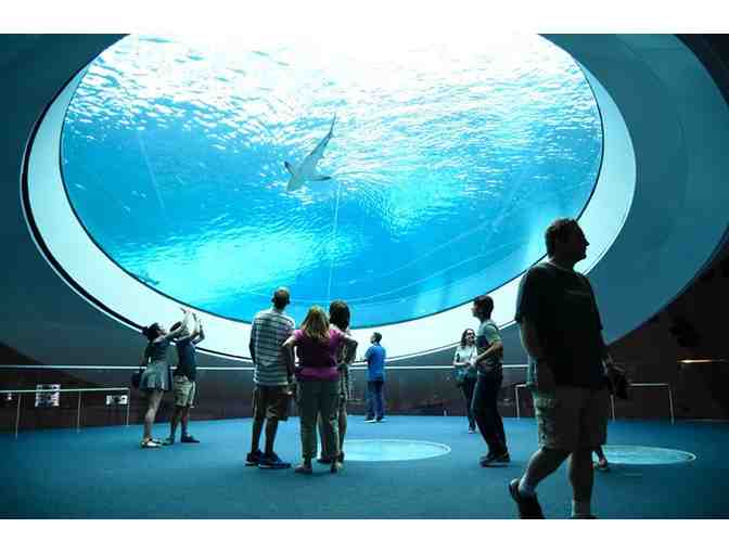 Phillip and Patricia Frost Museum of Science - Family Membership