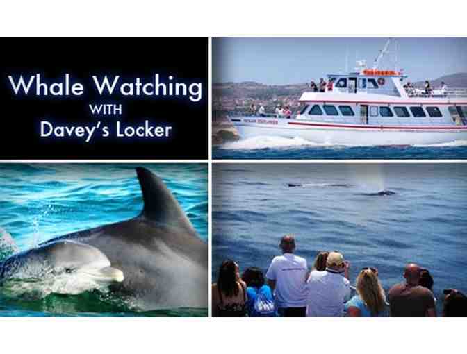 DAVEY'S LOCKER - WHALE WATCHING FOR TWO (2) - Photo 1