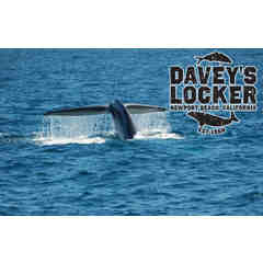 Davey's Locker - Whale Watching