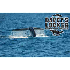 Davey's Locker - Whale Watching