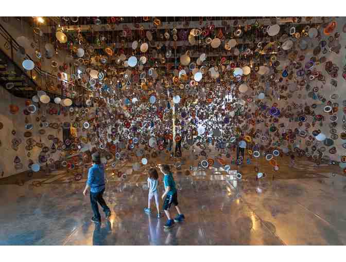 MASS MoCA - 2 Passes