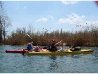 Kayaking in the Bay or Slough