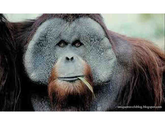 San Diego Zoo (or) San Diego Zoo Safari Park Passes for Two