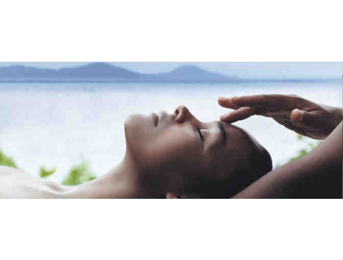 Reve Spa Salon $30 Certificate Toward Full Service Aveda Massage or Facial.