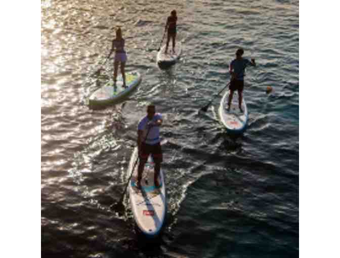 Stand-up Paddle Board - LIVE AUCTION