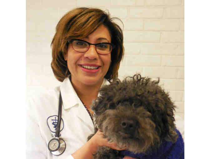 LPHS Student's: Day in the Life of a Veterinarian