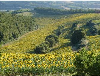 Casa Garuda, Italy: Week-Long Stay