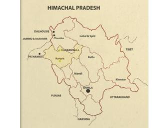 Norbulingka Institute: Dorjee Naljorma Painted Thangka