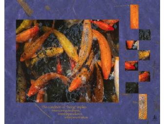 Yugen Photography: Your Choice of Digital 'Haiga'