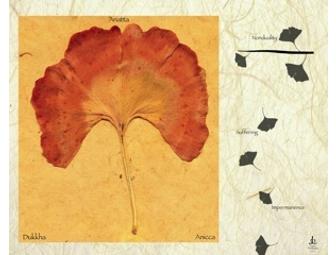 Yugen Photography: Your Choice of Digital 'Haiga'