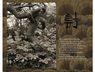 Yugen Photography: Your Choice of Digital 'Haiga'