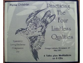 Great Path Tapes and Books: Pema Chodron's 'Practicing the Four Limitless Qualities' DVD