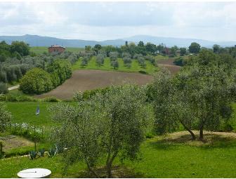 Casa Garuda, Italy: Week-Long Stay in Tuscany