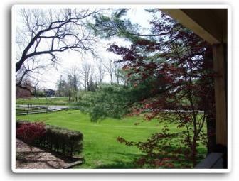 Blue Cliff Monastery: 'It's Now' with blue jelly strap