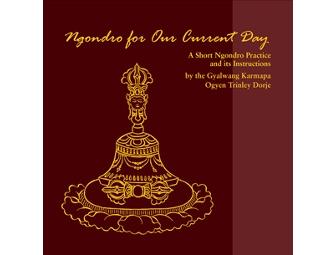 KTD Publications: Five-book H.H. 17th Karmapa set