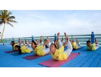 Sivananda Ashram Yoga Retreat: 3-night Stay on Paradise Island, Bahamas