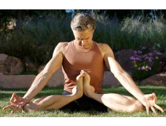 Yoga Workshop: Ashtanga Vinyasa Essentials Immersion