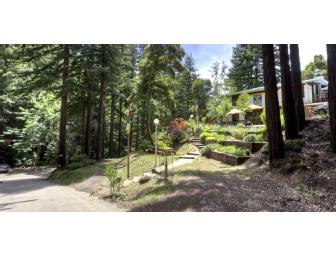 Vajrapani Institute: 'Deconstructing Our Emotions' Group Retreat, California Redwoods