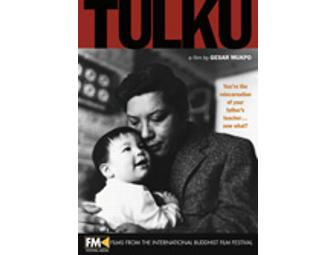 Festival Media 14-DVD Set: The Best Buddhist Films