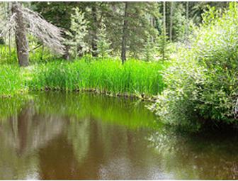 Upaya Zen Center, Santa Fe: Three- to Four-Day Retreat