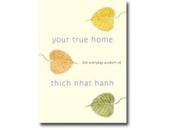 Melvin McLeod's signed 'Your True Home: the Everyday Wisdom of Thich Nhat Hanh'