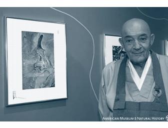 Zen Mountain Monastery: John Daido Loori's 'Arrows' Photograph