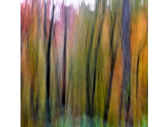 Every Day Enchantment: Your choice of large photo