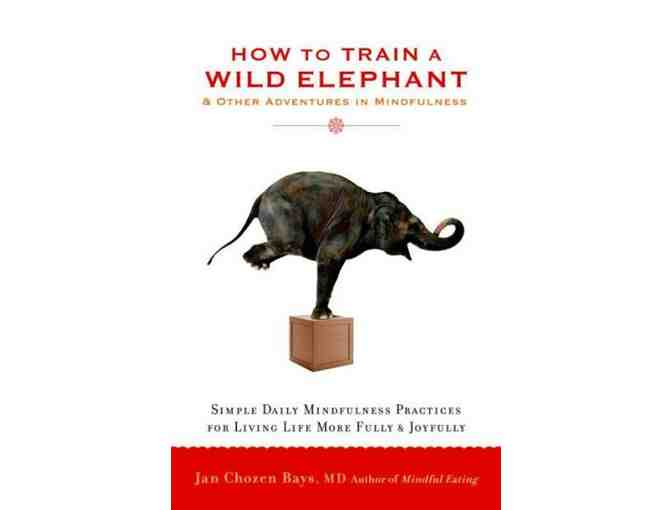 Jan Chozen Bays: Signed 'How to Train a Wild Elephant'