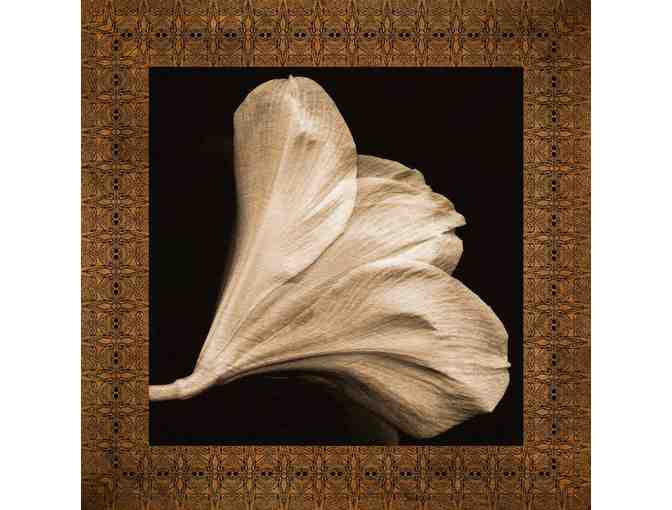 Yugen Photography: Bidder's Choice of 'Ghost Flower' Photograph