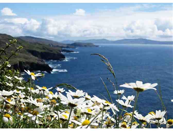 Dzogchen Beara: One Week's Rest and Renewal in Southwest Ireland