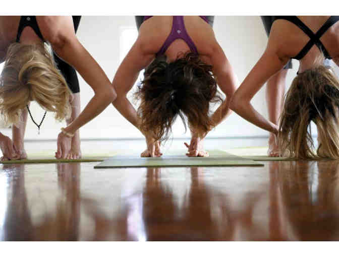 Yoga Santosha, Calgary, Canada: One Month of Unlimited Yoga