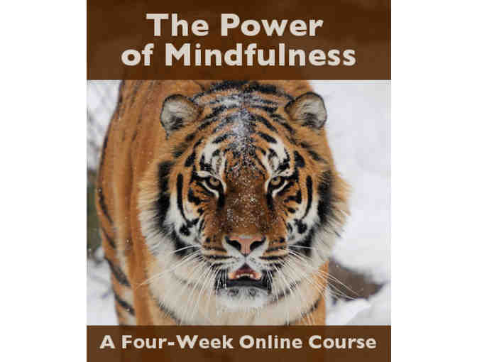 Wildmind's 'The Power of Mindfulness: An Introductory Meditation Course Online'