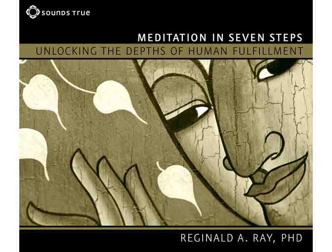 Dharma Ocean: 'Meditation in Seven Steps' by Reginald Ray
