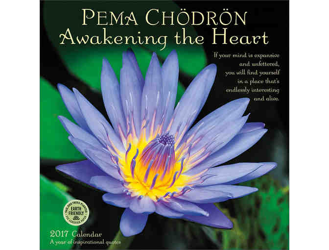 Amber Lotus Publishing: 2017 Pema Chodron Wall & Engagement Calendar Set
