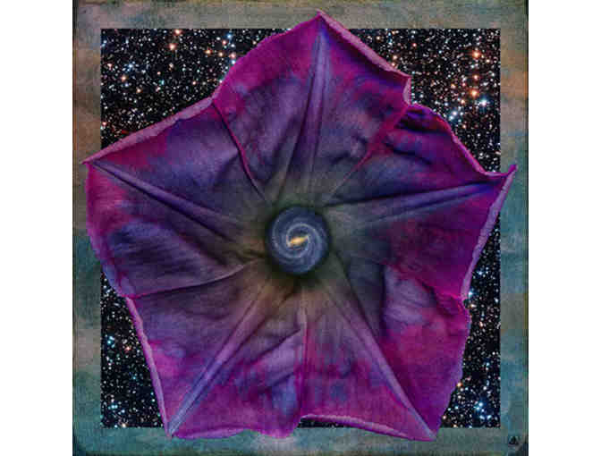 Alan Stacy, Yugen Photography: Bidder's Choice of Photograph, 'Cosmic Ghost Flower' Series