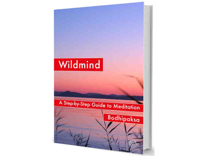 Wildmind: 'Wildmind: A Step-by-Step Guide to Meditation' by Bodhipaksa