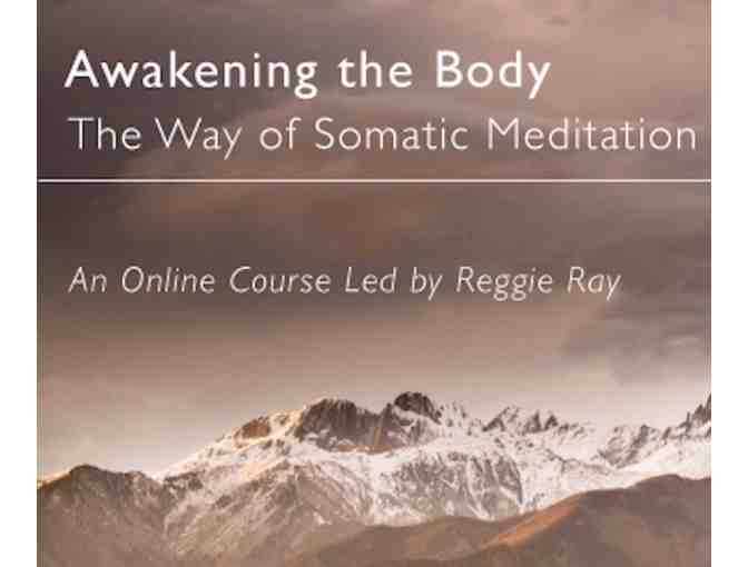 Dharma Ocean: Online 'The Somatic Practice of Pure Awareness' with Reggie Ray