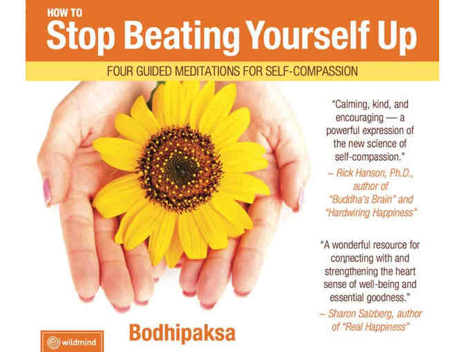 Wildmind: Bodhipaksa 9-CD Mindfulness Set