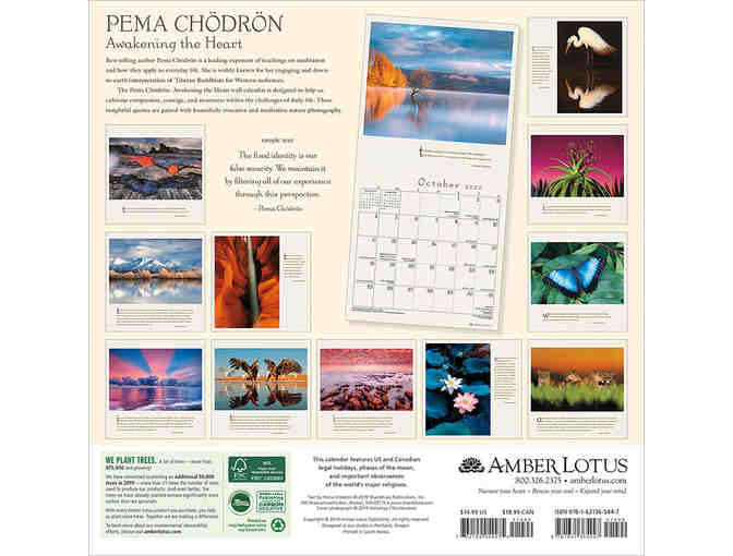 Amber Lotus Publishing: Pema Chodron 'Awakening the Heart' 2020 Wall Calendar
