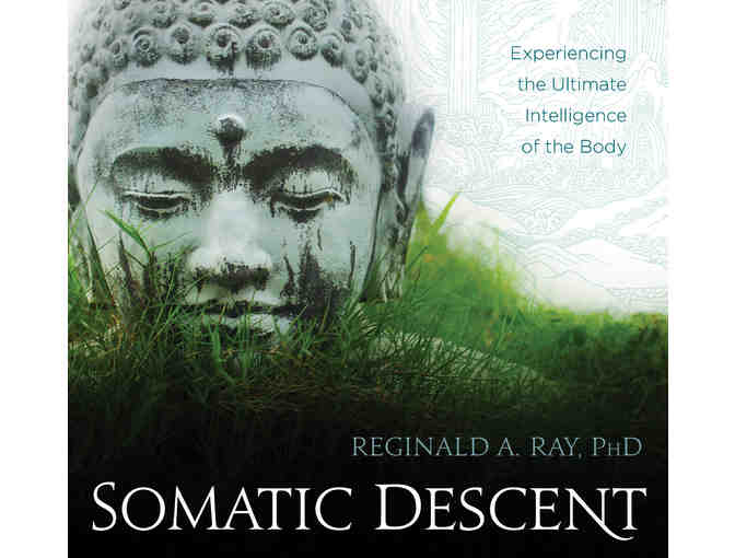 Sounds True: Reggie Ray 'Somatic Descent' CD Set