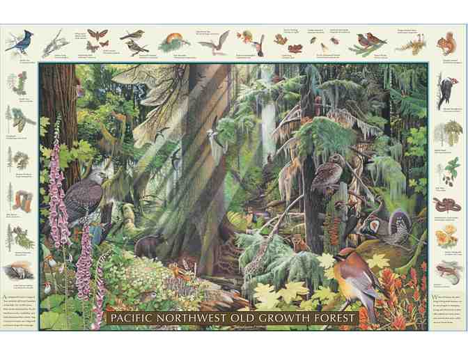 Good Nature Publishing Company: Set of Six Mini-Prints