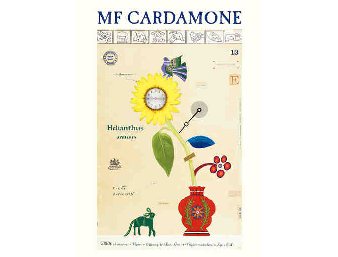 MF Cardamone: Box of MF Cardamone Notecards