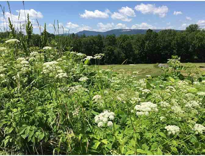 Wonderwell Mountain Refuge, New Hampshire: Two-Night Solo Retreat in 2021