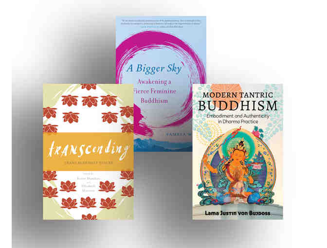 North Atlantic Books: Twenty-first Century Buddhism Three-Book Set