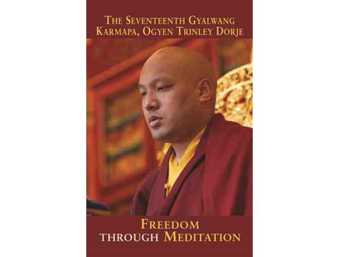 KTD Publications: 17 Karmapa, Ogyen Trinley Dorje, Two-Book Set