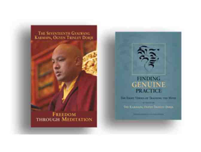 KTD Publications: 17 Karmapa, Ogyen Trinley Dorje, Two-Book Set