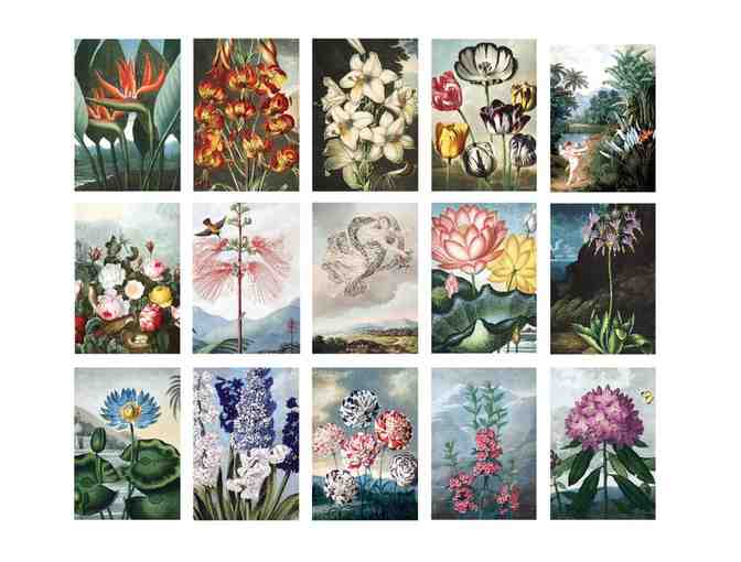 Particular Press: Set of 15 'Temple of Flora Vintage Botanical' Postcards
